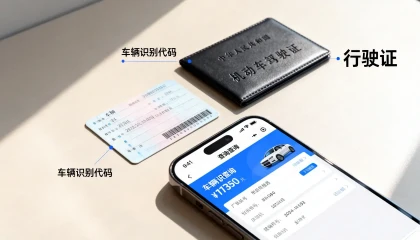 无法直接查询该车信息怎么回事，查询车辆信息的方法有哪些？